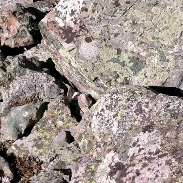 Two weekends ago @tamas.pasztor1 and I completed two WAPs: windy-ass peaks! We did kit carson and challenger.The wind was a constant 20-30 MPH for the 10 hours we climbed, with gusts up to 60 MPH. It. was. unrelenting.The first video shows us crossing through a wind tunnel where the wind was at 50 mph. I know this because I tried sticking my head out the car on the freeway on our way back to compare .With snow coming this weekend to Denver, I think this will be my last 14er for a while. I'll probably pick it back up again in a month or snow when it's time to Backcountry snowboard and snowshoe!